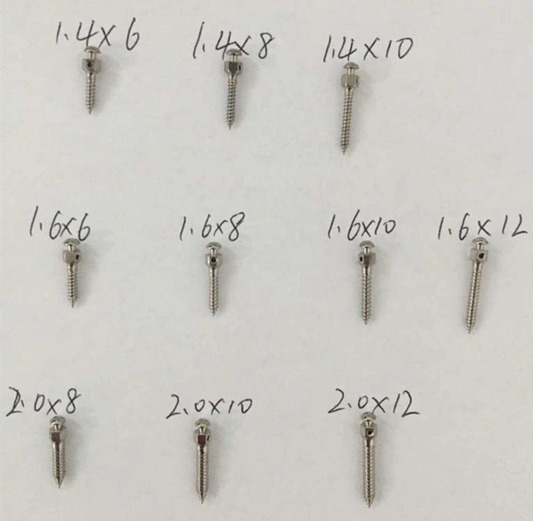 Dental Instrument Stainless Steel Micro Screw